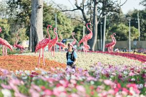 BIB: 
                            <button type="button" onclick="openModal(27344235)" class="btn btn-primary btn-sm float-right btn-popup" data-toggle="modal" data-target=".modal-high-quality">
                        <i class="fas fa-shopping-cart"></i> Add to Cart
                    </button>
                                            <button type="button" onclick="isThisMe(27344235, true)" class="btn btn-success btn-sm float-right btn-popup btn-isme hidden" data-toggle="tooltip" data-placement="bottom" title="นี่คือรูปของคุณใช่ไหม คลิกที่นี่เพื่อเอาเข้าอัลบั้ม">
                        <i class="fas fa-plus"></i> Add to album
                    </button>
                    <button type="button" onclick="isThisMe(27344235, false)" class="btn btn-warning btn-sm float-right btn-popup btn-isnotme hidden">
                        <i class="fas fa-ban"></i> Remove from album
                    </button>